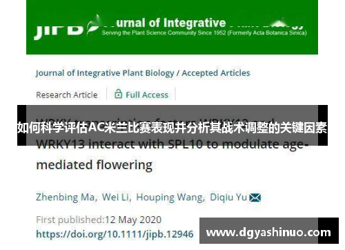 如何科学评估AC米兰比赛表现并分析其战术调整的关键因素